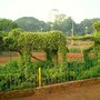 Hanging_gardens3