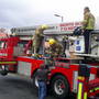 The_lucky_kitten_037