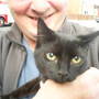 The_lucky_kitten_038