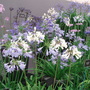 Dsc00481
