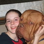 my dog helmit