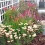 Southport Flower Show 2007 - small town garden 