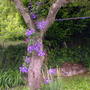 Dscf0554