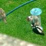 16th_june_006