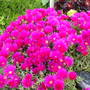 Dscf1757