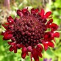 P1020388