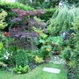 17_june_006