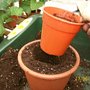 Removing the empty pot to leave a hole
