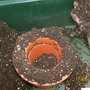 Adding compost above the pot ready to be firmed