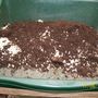 Getting the compost together ready to mix
