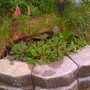 new corner bed