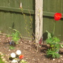DSC01020.jpg