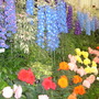 DSC01036.jpg