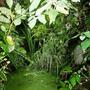 wildlife pond