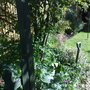 A shady place 