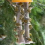 Suet_Birds.jpg