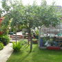 Allotment_2_004