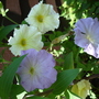 DSC02092.jpg