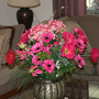 6-20-08_023.jpg