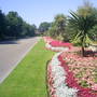 mowbray park sunderland