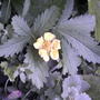 2008-06-20_015
