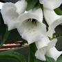 21st_june_008