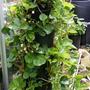 21st_june_011