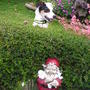 just having a look over the hedge