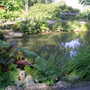 shady nook by a babbling brook mowbray park sunderland