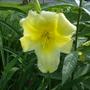 Saturday_4