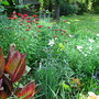 6-14-08_077