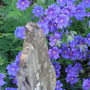 Pict0434