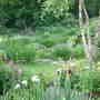 Stockton Bury Dingle Garden