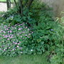 22062008239.jpg