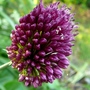 P1020457