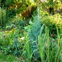 P1020461