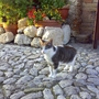 My 15 year old friend called June