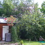 Summer_2008_002