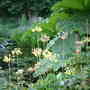 The Pond Stockton Bury