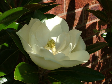Imported_Photos_00068.jpg
