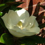 Imported_Photos_00068.jpg