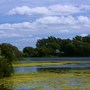 Abbots Ripton Hall, Gardens and landscapes