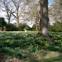 By the lake at Heckfield Place