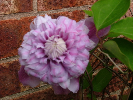Imported_Photos_00072.jpg