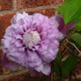 Imported_Photos_00072.jpg