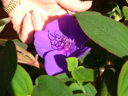Imported_Photos_00074.jpg