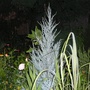 P1020507