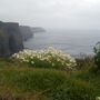 Cliffs_2