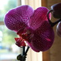 20080624_20b