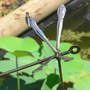 Dragonfly_blue_dasher_male_on_dragonfly_brdvw_lotus_6-22-08_exc_sm
